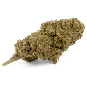 GORILLA GLUE flores CBD