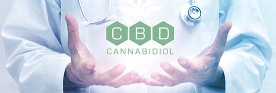 El mejor aceite de CBD en España
